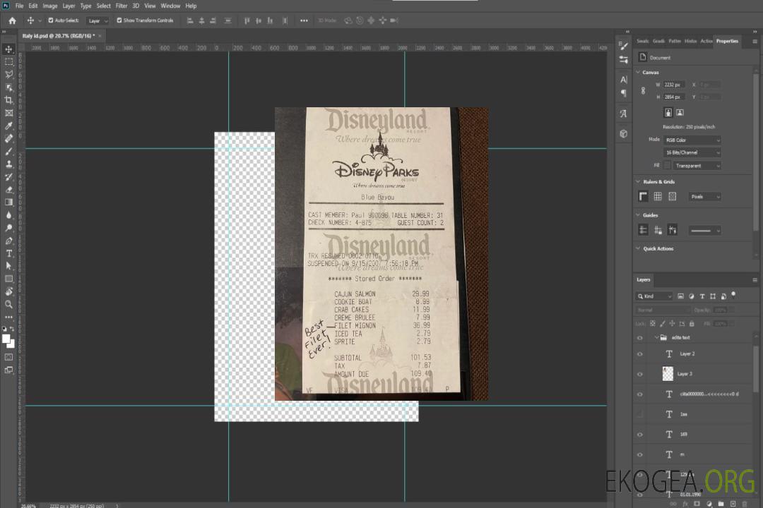 Chèque de paiement du parc Disneyland template